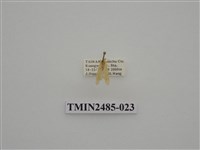 藏品(半明苔蛾)的圖片